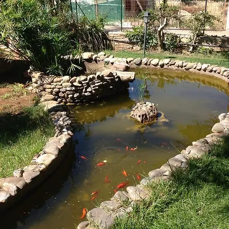 Torre Due Pani Bed & Breakfast *